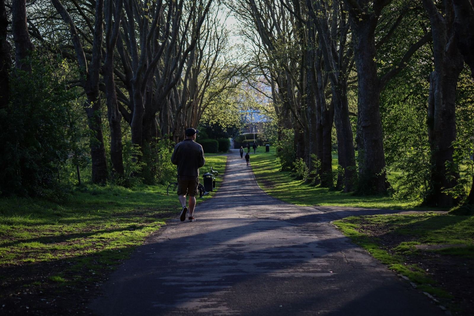 A man moves away from the lens along a paved walkway bordered by high trees